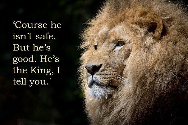 Narnia Confessions — I love Aslan and all, but I dislike the fact that